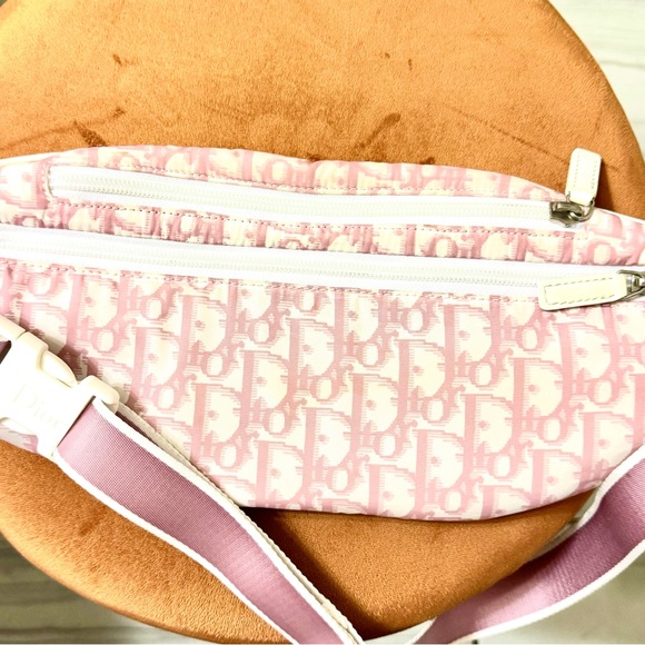Christian Dior Pink Trotter Belt Bag - Picture 4 of 11